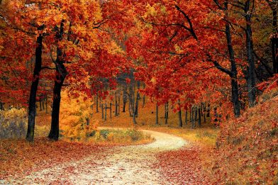 Equinócio de Outono: Tudo o que você precisa saber!