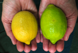 frutas-limão
