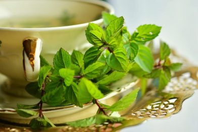 Chá verde: Para Que Serve? Como Fazer?